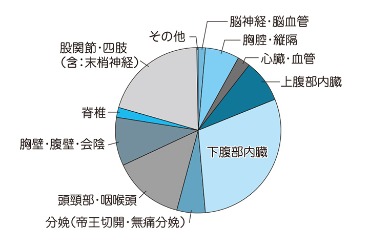 手術部位別統計（2024年）