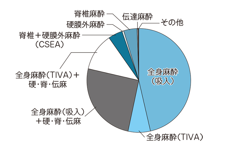 麻酔法別統計（2024年）